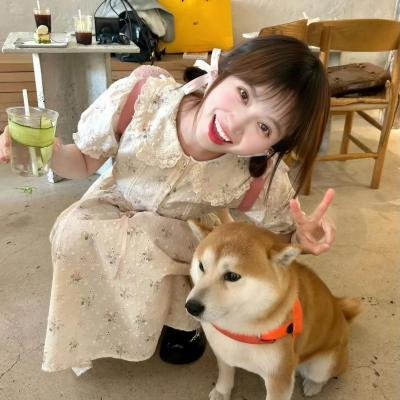 驶入心途